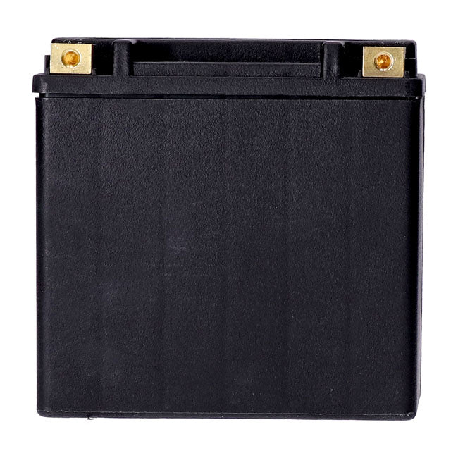 MCS, Standard Series - AGM sealed battery. 12v, 14ah. 240cca