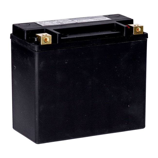 MCS, Standard Series - AGM sealed battery. 12v, 20ah. 320cca