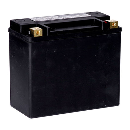 MCS, Standard Series - AGM sealed battery. 12v, 20ah. 320cca