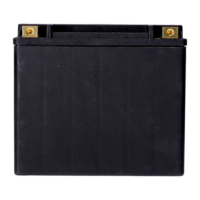 MCS, Standard Series - AGM sealed battery. 12v, 20ah. 320cca