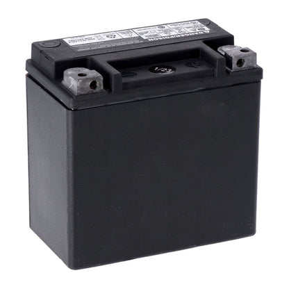 MCS, Advance Series - AGM sealed battery. 12v, 12ah, 220cca